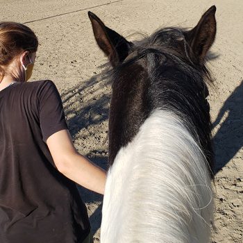 woman with a horse